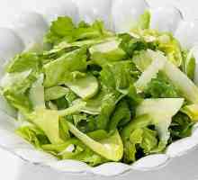 Izvorni salata od koprive