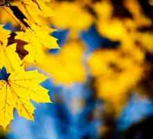 Jesen lišće - zlato vjesnici jeseni