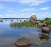 Tyuters veliki otok u Finskom zaljevu: ekspediciji fotografije