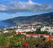 Otok Madeira. Atrakcije koje se divio turiste
