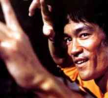 Iz onoga što je Bruce Lee je umro? Misterij smrti Bruce Do