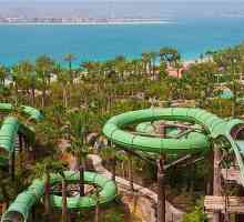 Hoteli u UAE za obitelji s djecom: Savjeti za putovanje