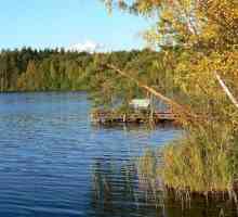 Jezero u Nižnji Novgorod regije. Kratak opis najboljih voda za ribolov i rekreaciju