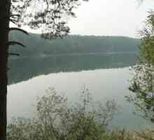Jezero je slijep na crnogoričnom šumom