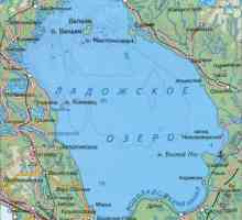Jezero Ladoga: opis, dubina, topografija, riba