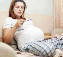 Groznica s ranoj trudnoći. Koji lijekovi mogu biti trudna?