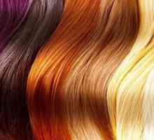 Paleta boja od boje za kosu: ima izbor tonova