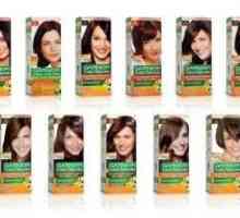 Paleta boja za kosu „Garnier” „: izbor izvrsnosti