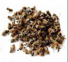Bee Pomorie - lijek za sve bolesti