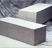 Pjena beton ili porobeton: što materijal odabrati za izgradnju kuće?