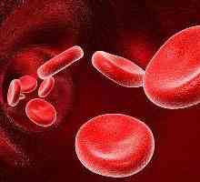 Prva negativna krvna grupa: njegove karakteristike i učinci na trudnoću.
