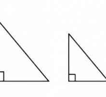 Prvi znak jednakosti trokuta. Drugi i treći znak jednakosti trokuta