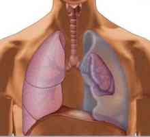 Pneumotoraks pluća: uzroci, simptomi i prva pomoć