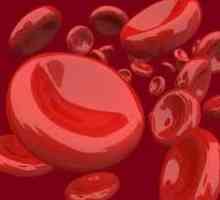 Zašto je visoka hemoglobina u žena, i što to znači