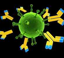 Zašto neki ljudi nisu bolesni dvaput bolest: razvoj imuniteta, cijepljenja