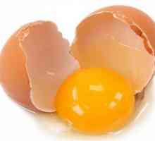 Pojedinosti o tome koliko proteina u jednom jajetu