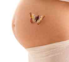 Trnci u maternici za vrijeme trudnoće: uzroci