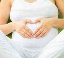 Korisne vježbe za trudnice (1 termin). Što možete učiniti gimnastiku za trudnice