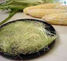 Korisno kukuruz svila: ljekovita svojstva i recepti za preparata