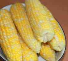 Korisna svojstva kuhani kukuruz: pričajmo o vrijednom žitarice