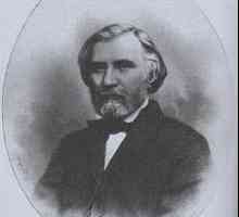 Portret Turgenjeva strane Repin