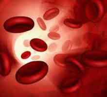 Povišen hemoglobin u krvi - što to znači? Pokazatelji hemoglobina dob