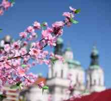 Prag u svibnju: vrijeme i mišljenja. Što vidjeti u Pragu u svibnju?