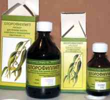 Lijek „hlorofillipt” nos. rješenje ulje „hlorofillipt” nos:…