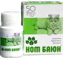 Lijeka se „Mačka Baiyun”, mišljenja i preporuke o primeneneniyu