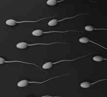 Pod kojim boležljivosti pojavljatsja transparentan spermu