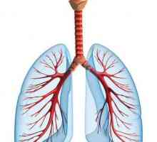Uzroci i simptomi upale pluća u djece