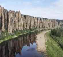 Priroda Perm Krai. Biljke i životinje Perm Krai