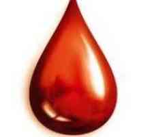 Spell na mjesečnoj krvi: implikacije provjeru