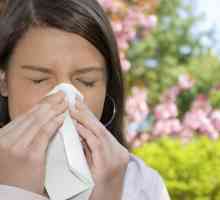 Simptome alergije kod odraslih. Proljetna alergija