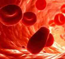 Životni vijek crvenih krvnih stanica ljudi i životinja