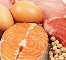 Proizvodi s najvišim sadržajem proteina: hrana za zdravlje i ljepotu