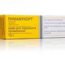 Protu-upalni i antifungalna mast „pimafukort”: upute za korištenje