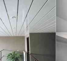 PVC paneli za strop. Nekoliko činjenica
