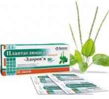 Biljni pripravak „plantaglyutsid”: Upute za uporabu