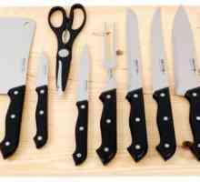 Sjeckanje noževe za meso. Noževi za kostiju i rezanje mesa
