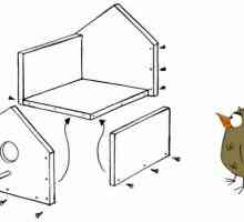 Dimenzije kućice za ptice. Kako napraviti kućice za ptice svoje ruke