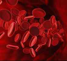 Rbc: Analiza krvi, dekodiranje, brzina i vrijednost. Normalna brzina crvenih krvnih stanica (RBC) u…
