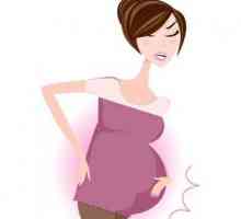 Rezanje bol u trbuhu tijekom trudnoće: uzroci. Crtanje bol u trudnoći
