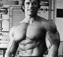 Rast Arnold Schwarzenegger je visina Kip slobode!