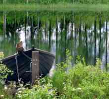 Ribolov u vodama jezera Gladyshevsky. Rezervirano mjesta Karelia