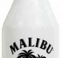 Uz što i kako piti alkohol „Malibu”