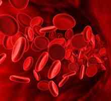 Najrjeđi krvne grupe - pojedinačne karakteristike