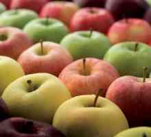 Širok izbor sorti jabuka