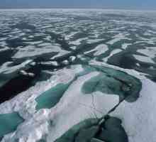 Najhladniji oceana na planeti: klima, a organski svijet