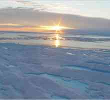 Najmanji oceana - Arktik